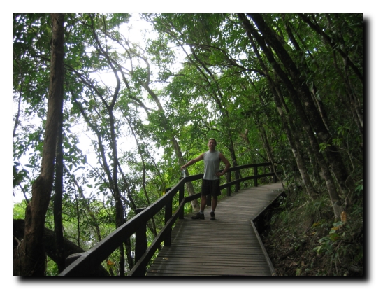030 Regenwald Boardwalk